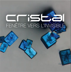 cristal-illustrationactuweb